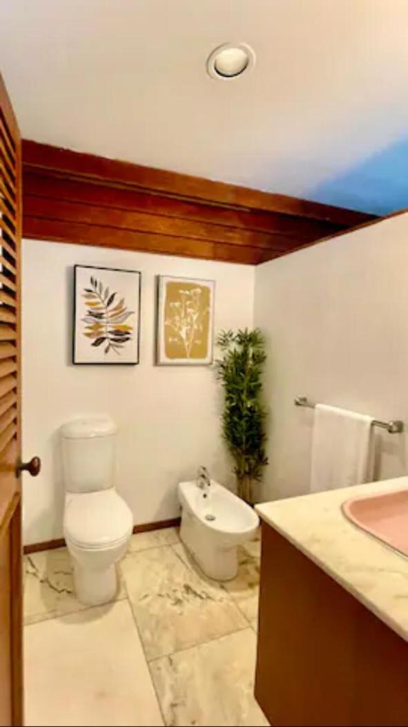 Spacious Hideaway Retreat, Brookfield, בריסביין מראה חיצוני תמונה